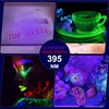 HYVCZP 8 Pack UV Blacklight Flashlights, Mini 395nm Blacklight Flashlights,