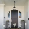 Emliviar Outdoor Hanging Pendant Light - 12 Inch Hanging Lantern