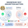 Sonohealth Complejo Magnesio Espectro 500mg Glicinato Malato Citrato Óxido Hidroxi