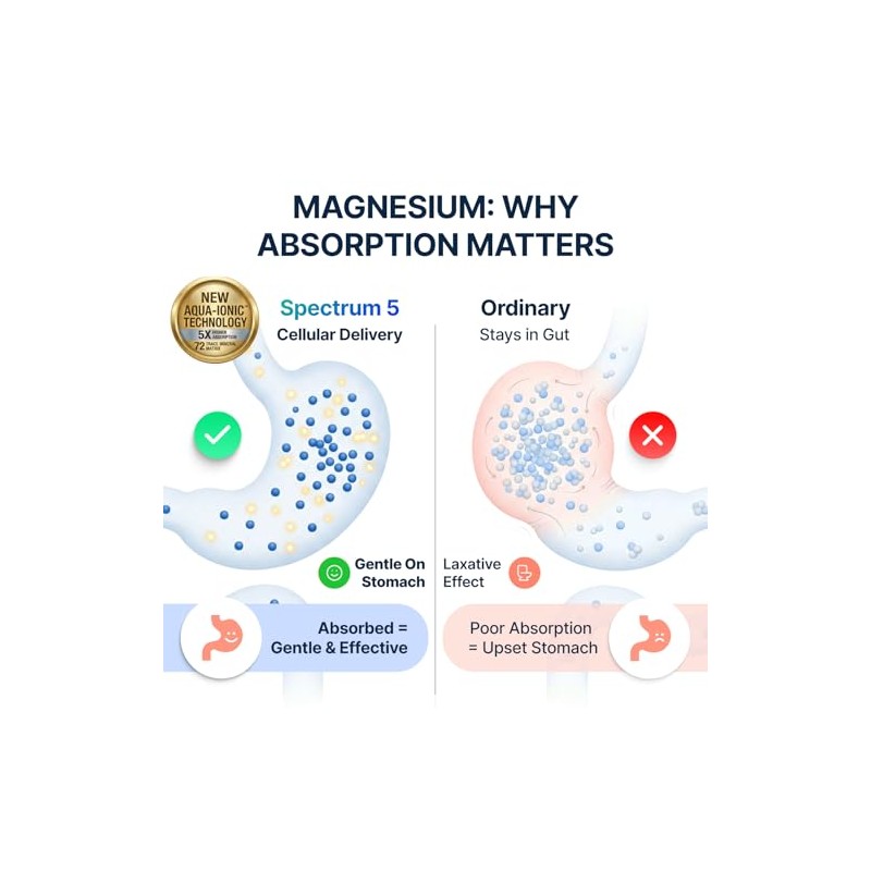 Sonohealth Complejo Magnesio Espectro 500mg Glicinato Malato Citrato Óxido Hidroxi