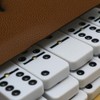 Domino De Pasta Viajero Frengie