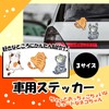 pantry plus bicycle car sticker cat design for hiding scratches
