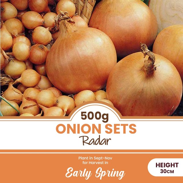 Onion Sets Radar 500 Grams – Long Standing Favourite for
