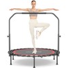 ANCHEER 40/48" Mini Trampoline with Upgraded Bungee Cords, 550LBS Max