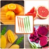 Mabor 6Pcs Orange Peeler Tool Plastic Citrus Lemon Peeler Orange