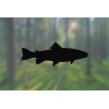 AK Stickers Trout - Vinyl Decal Outdoor Weatherproof - White,