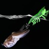 Luminous Squid Jig Hook Saltwater Fishing Lures Plastic Glow Shrimp