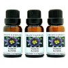 Crazy Candles Passion Flower 3 Bottles 1/2 FL Oz Each
