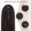 FESHFEN Ponytail Extensions with Drawstring, Long Straight Braid, Drawstring Ponytail