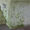 Nihon Miracon Sangyo Outdoor Cleaning Exterior Algae, Moss, Mold Remover