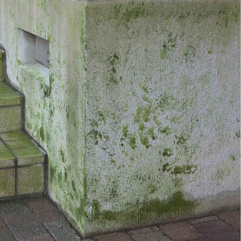 Nihon Miracon Sangyo Outdoor Cleaning Exterior Algae, Moss, Mold Remover