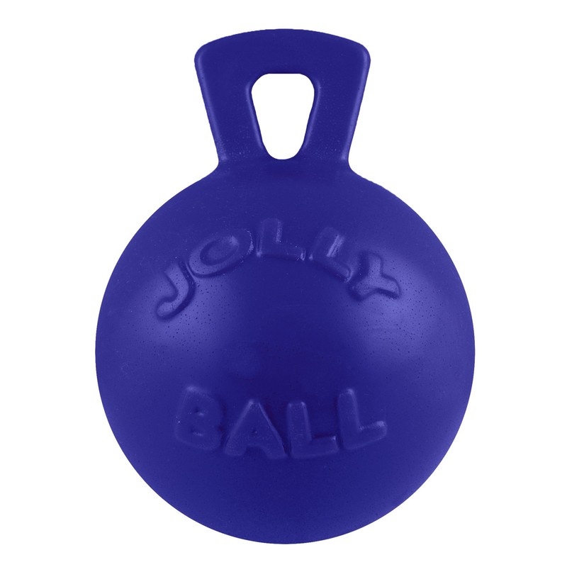 Jolly Pets Tug-n-Toss Dog Toy Ball with Handle, 8 Inches/Large,
