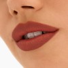 Labial MAC Locked Kiss | Meticulous | Mate | 24