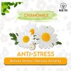 BLUE TEA - Chamomile Tea - 3.52 Oz || SLEEP