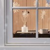 Thymes Frasier Fir Reed Diffuser Set – Includes Reeds, Fragrance