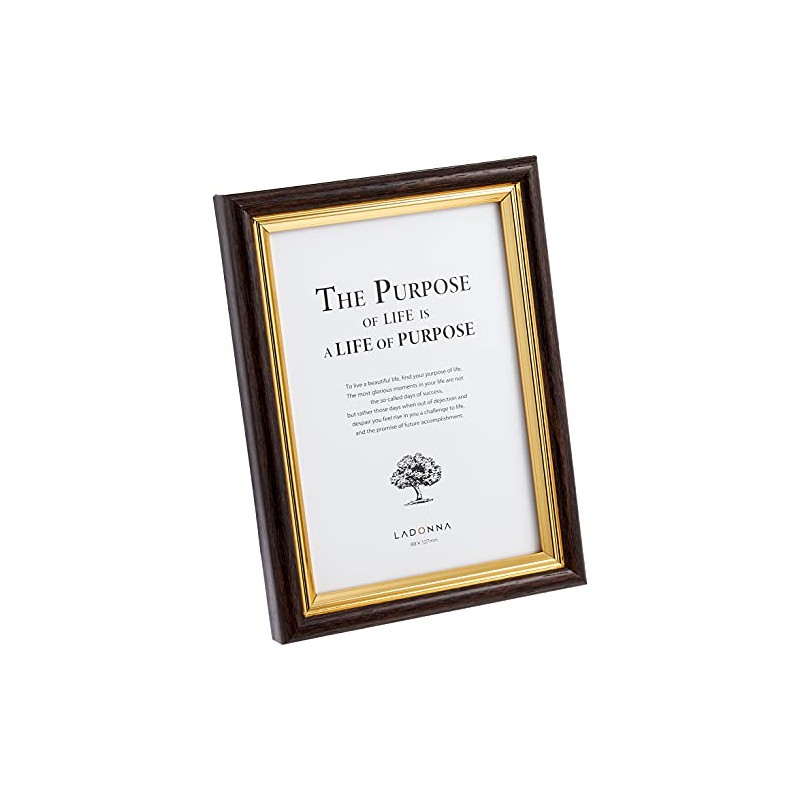 LADONNA RADONNA AVANTI SF08-L-DBR Picture Frame, Large Size 088577