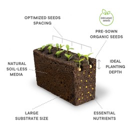 Veritable VLIN-L5-Tom053 Plant Seeds, Mini Yellow Tomato