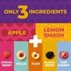 Fruit Snacks by Zest Delites, Fruit Leather Bars, Healthy Snacks