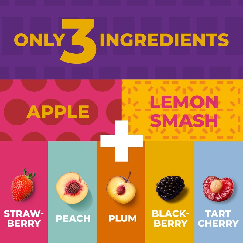 Fruit Snacks by Zest Delites, Fruit Leather Bars, Healthy Snacks