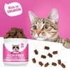 Bailey & buddies Cat Itch & Allergy Relief Treats –