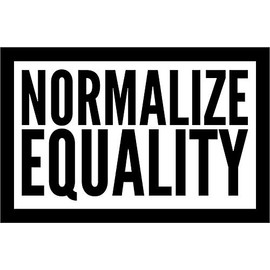 normalize equality Vinyl Decal Wall Laptop Bumper Sticker 5"