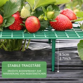 CNNIK 10pcs Strawberry Plants Supports for Garden Strawberry Growing Kit Plant Supports for Outdoor Plants Strawberry Stand Holder Growing Frame Square