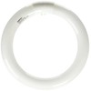 Satco S6500 Transitional Light Bulb in White finish, 8.00 inches