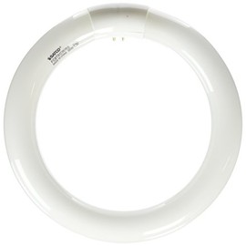 Satco S6500 Transitional Light Bulb in White finish, 8.00 inches