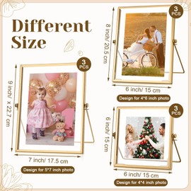 Treela 9 Pieces 4 x 4, 4 x 6, 5 x 7 Inch Picture Floating Frames Metal Glass Photo Vintage Brass Frames Vertical Geometric Desk Decorations(Gold)