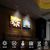 LED Spotlight, Battery Powered Picture Lights, Uplighting Indoor, 3 Lighting