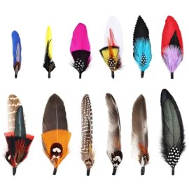 12Pcs Hat Feathers Assorted Natural Feathers for Hats Colorful Real Feathers Pin DIY Craft Men Women Cowboy Hats FedoraColor: 12PC 02, Feather Size (L x W): 2-3 In/6-8In