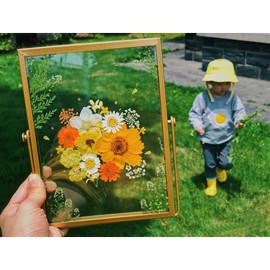 Namvo Dried Flower Embossed Glass Photo Frame, Brass Glass Artwork Certificate Photo Picture Display Frame Geometric Ornament Plant Specimen Clip Pressed Flower (dried flowers not included)