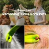 Tick Remover Tool and Tique Identification Card for Dogs Cats