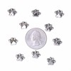 Paw Print Pushpins - Silver Finish