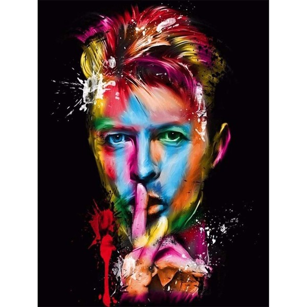 YUNLINZI DIY Paint by Numbers for Adults Beginner David Bowie Colored Portraits 16 x 20 inch Oil Painting with Brushes and Acrylic Pigment Toy Hand-Painted Gift Wall Art Decor -Frameless