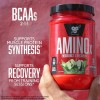 Suplemento en polvo BSN Endurance and Recovery Aminoácidos sabor ponche