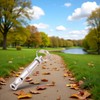 Myuiao Silver Adjustable Ultrasonic Dog Whistle,Portable Whistle Pet Whistle Supersonic