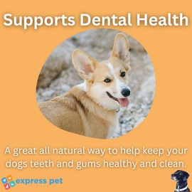 Express Pet Supplies 4 x Extra Thick (5-6") Beef Bully Pizzles Sticks Dog Dental Sticks, 100% Natural Air Dried PIzzles Stick Chews for Dogs