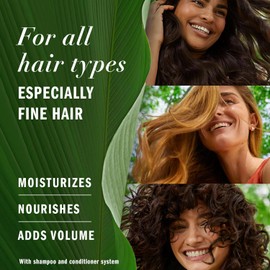 Herbal Essences Biorenew White Grapefruit & Mosa Mint Naked Volume Conditioner, 13.5 FL OZ