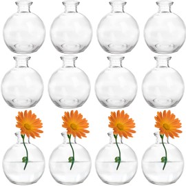 SOUJOY Set of 12 Small Glass Ball Bud Vase, Unique Mini Low Sitting Flower Vase, Clear Floral Centerpieces for Home Decor, Weddings, Floral Arrangements, Events, Parties