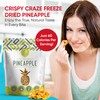 Crispy Craze Freeze Dried Pineapple (6 Snack Sized Bags, 0.52