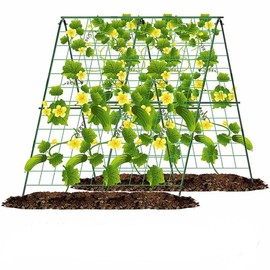 48" H x 48" L Cucumber Trellis for Raised Bed Adjustable Garden Trellis for Climbing Plants Outdoor A-Frame Trellis for Vegetable Cucumbers Tomatoes Grow Supports(Without Climbing Net