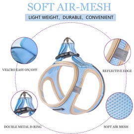 PUKAKO Puppy Harness and Leash Set, Small Dog Harness and Leash Set, Step in Small Size Harness with Soft Mesh and Reflective Bands for Extra-Small/Small Dogs, Blue， XXS