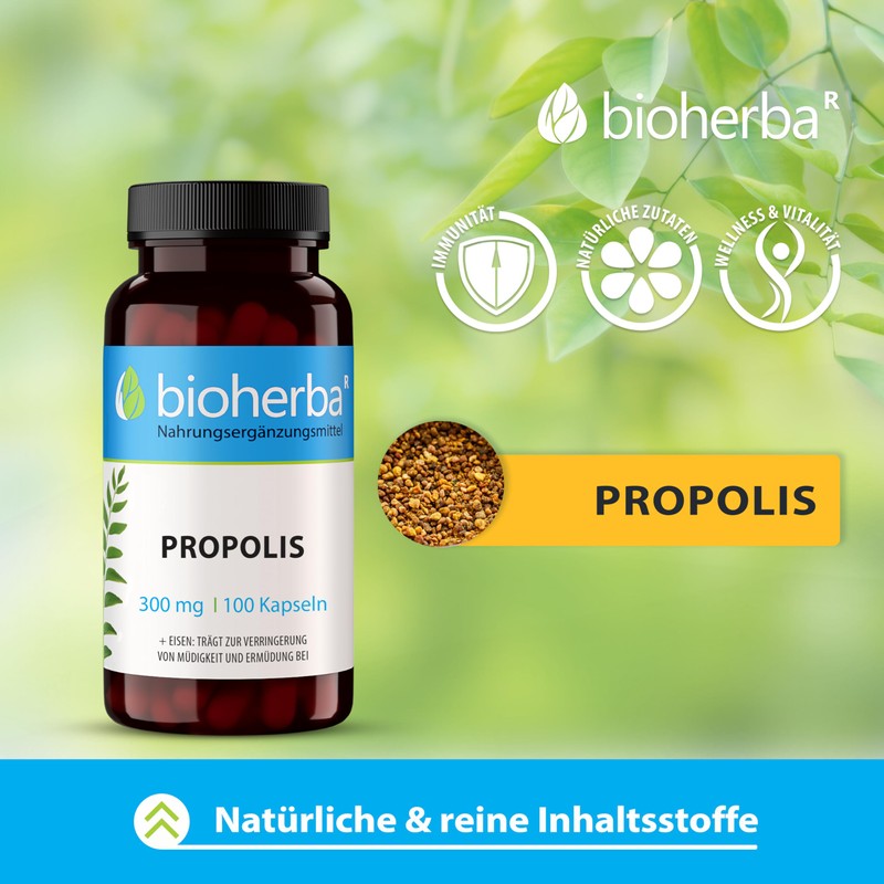 BEE PROPOLIS / PCHELENE POPOPOLIS 60 KAPSULI x 300mg
