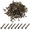 ISDVBUY 200Pcs Small Tiny Nails 1.2x8mm(DXL) Carbon Steel Copper Plated