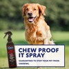 Eqyss Chew Proof It Spray (8oz) - Guaranteed to Stop