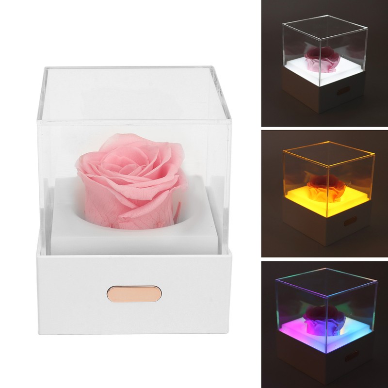 Rose Night Light Romantic Small USB Charging Soft Brightness Decoration
