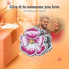 Rimgoris 925 Sterling Silver Charm for Women Bracelets Necklace Four Leaf Clover Cow Hoof Pansy Flower Purple Petal Clips Family Tree Colourful Gemstones Dangle Charm Gift, Silver, Cubic Zirconia