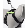 Petface Car Safety Harness - L