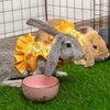 ALUZAEMO Bunny Harness and Leash Set, Escape Proof Carrot Mesh